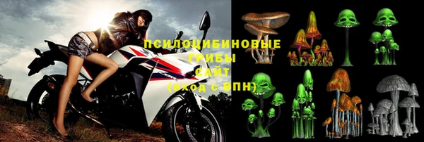 МДПВ Алексин