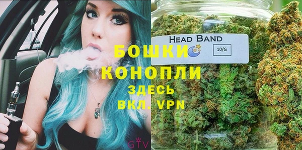 МДПВ Алексин