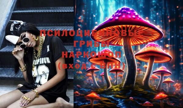 МДПВ Алексин