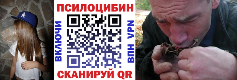 закладка  Харовск  Псилоцибиновые грибы мухоморы 